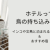 ホテルって鳥の持ち込みOK？インコや文鳥と泊まれる宿のルール＆おすすめ宿のタイトル