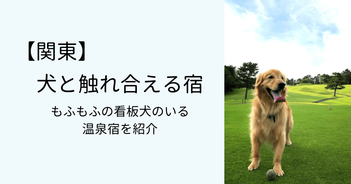 【関東】犬と触れ合える宿３選！癒しの看板犬がいる温泉宿を紹介タイトル